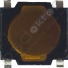 PS4 OPTİONS SHARE BUTON